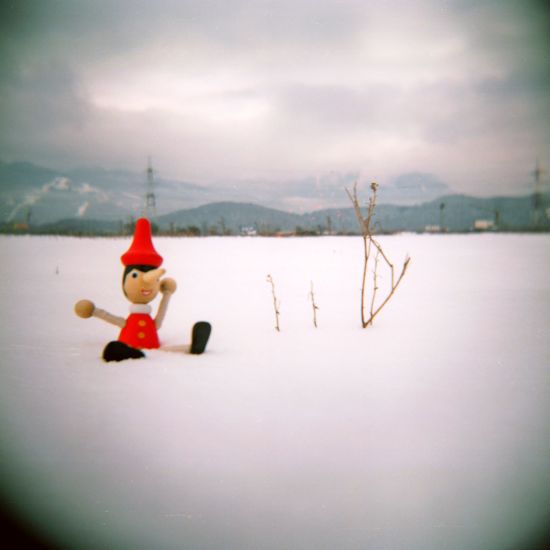 author: paulo rodrigues
title: Pinocchio in snow