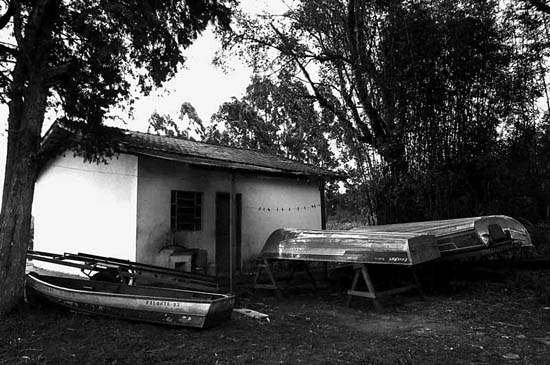 autor: paulo rodrigues
t&iacute;tulo: Casa e Vida