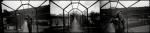 auteur: Paula Alves
titre: [ ... ]