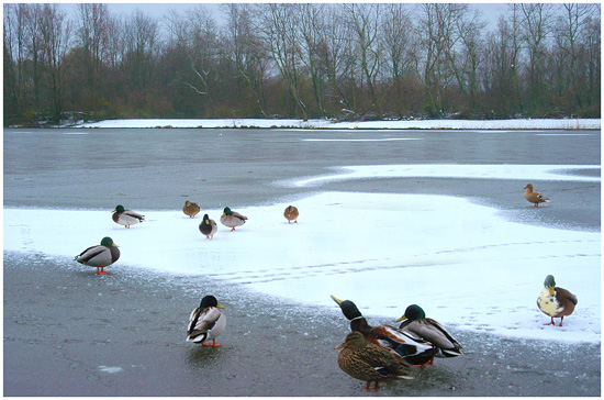 author: paulo rodrigues
title: On thin Ice