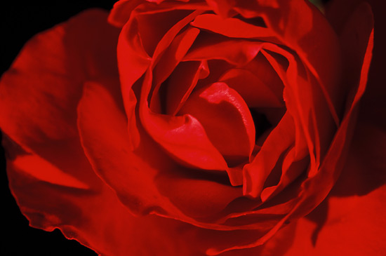 autor: paulo rodrigues