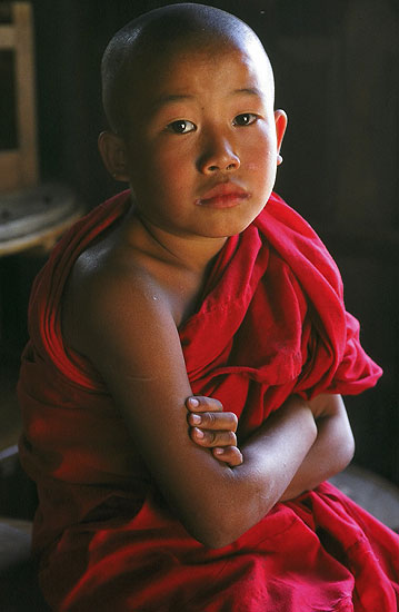 autor : Chad Meacham                    título: Young Monk