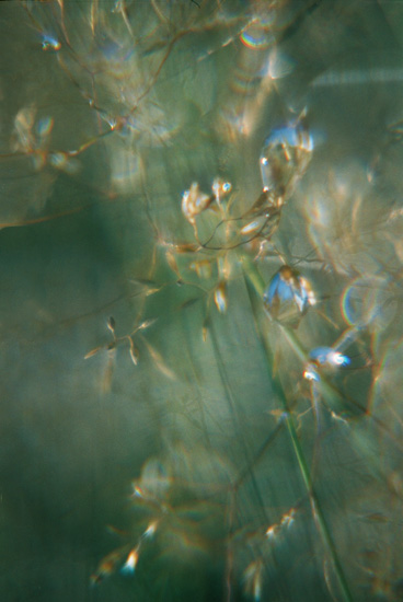 autor: Sofia Quintas
t&iacute;tulo: whispers_s