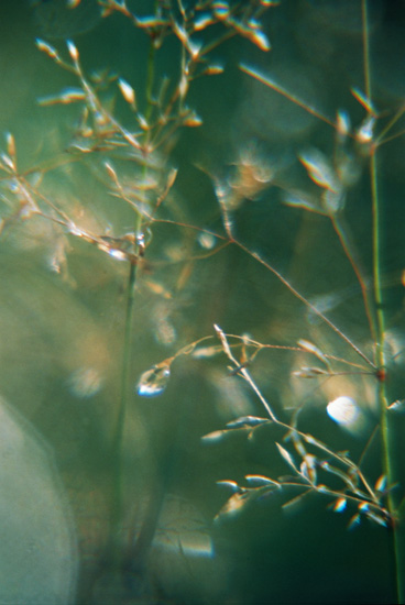 autor: Sofia Quintas
t&iacute;tulo: whispers_ss