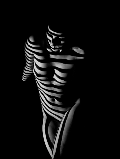 autor: paulo rodrigues
t&iacute;tulo: Presa nas sombras