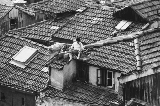auteur: Sofia Quintas
titre: Consertando o telhado