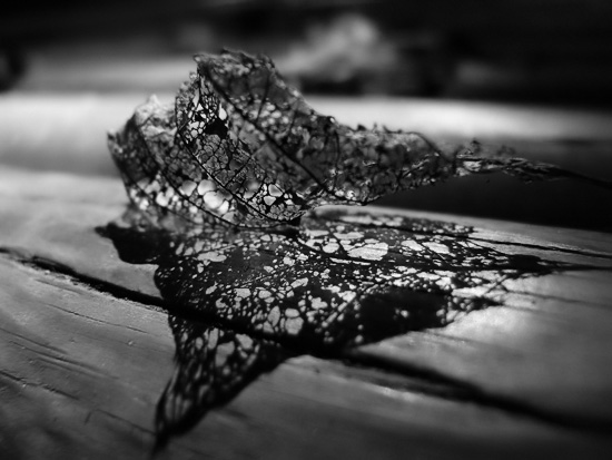 autor: paulo rodrigues
t&iacute;tulo: Fim de vida