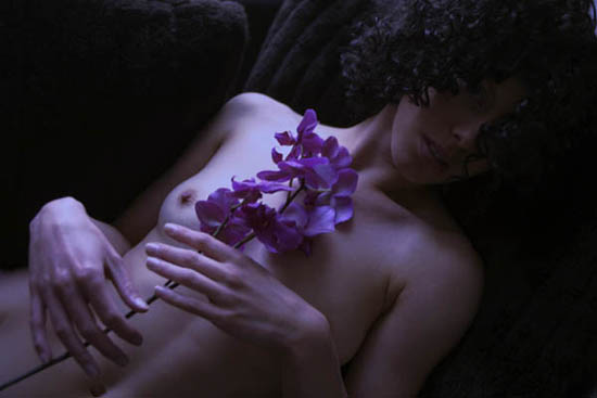 autor: paulo rodrigues
título: Orchids and Curls