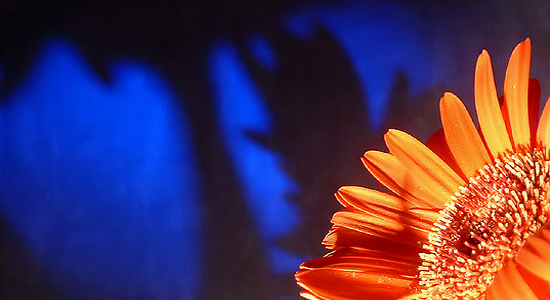 autor: paulo rodrigues
t&iacute;tulo: My beauty