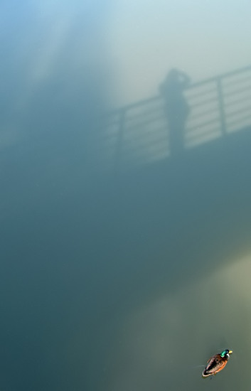 autor: paulo rodrigues
t&iacute;tulo: Me and Him