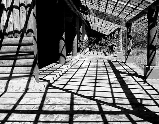 autor: paulo rodrigues
t&iacute;tulo: O Telhado de Sombras