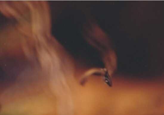 autor: Sofia Quintas