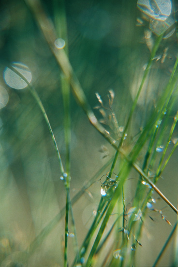 autor: Sofia Quintas
t&iacute;tulo: whispers_sss